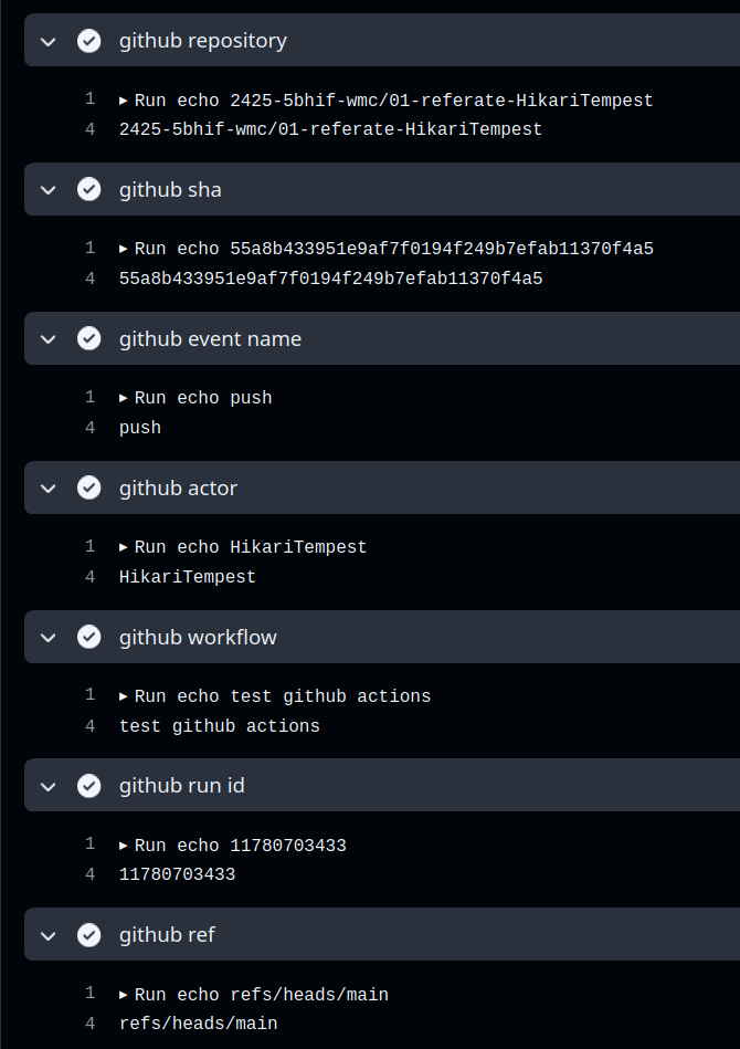 github screenshot logged environment variables